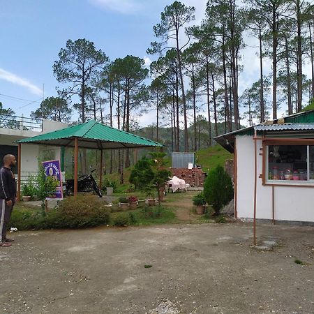 The Green Pine Cottage Lansdowne Bagian luar foto