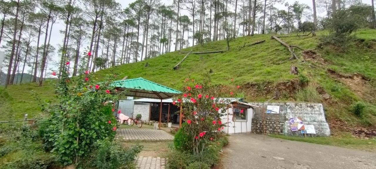 The Green Pine Cottage Lansdowne Bagian luar foto